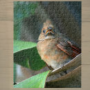 Search for cardinal bird puzzles Birds