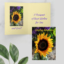Search for happy birthday sunflower postcards Sunshine