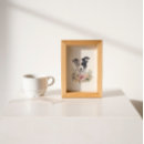 Search for collie pet posters Dog