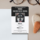 Search for dog black Simple