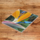 Search for tropical bird tiles Bird of paradise