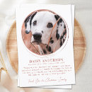 Search for rose sympathy thank you cards In loving memory