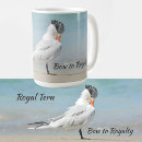 Search for seabird mugs Seagull