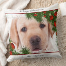 Search for yellow lab christmas cushions Puppy