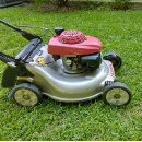 Search for yard work Grass cutting