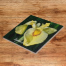 Search for yellow iris Botanical