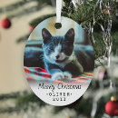 Search for black cat christmas tree decorations Cats