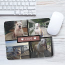 Search for dog mouse Photo collage