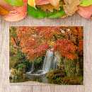 Search for autumn forest puzzles River