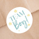 Search for twinkle star stickers Gender reveal
