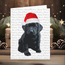Search for black labrador christmas cards Puppy