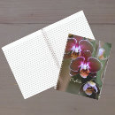 Search for orchid notebooks Exotic