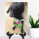 Search for chocolate lab cards Brown