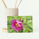 Search for peony birthday cards Botanical