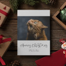 Search for paw print christmas cards Whimsical