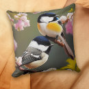 Search for chickadee Pretty