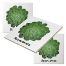Search for succulent tiles Green