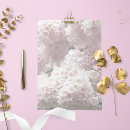 Search for cherry blossom stationery stationery paper Sakura