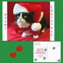 Search for tuxedo cat christmas cards Pet