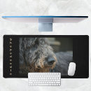 Search for doodle electronics Dog breeds