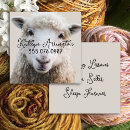 Search for spinning yarn Sheep