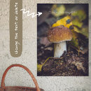 Search for edible mushrooms posters Mycology
