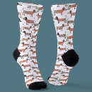 Search for dachshund socks Dog