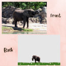 Search for elephant cards Wildlife