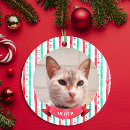 Search for peppermint christmas tree decorations Pet