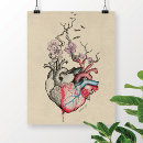 Search for anatomical heart art Drawing