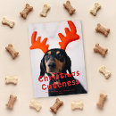 Search for funny dog and cat christmas cards Humour
