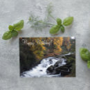 Search for happy fall photo cards Nature