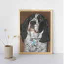 Search for springer spaniel dog posters Dogs