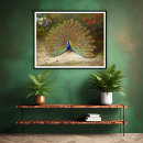 Search for peacock butterfly art Gold