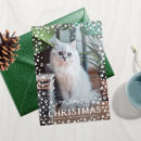 Search for merry meow christmas cards Cat