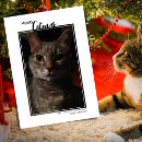 Search for cat pun christmas cards Cute