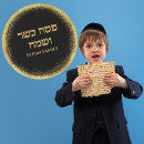 Search for happy passover stickers Pesach