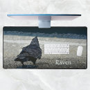 Search for blackbird electronics Crow