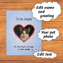 Search for crazy cat lady puzzles Pets