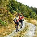 Search for mountain bikes stickers Sports