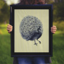 Search for vintage peacock posters Nature