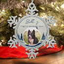 Search for border collie puppy christmas tree decorations Pet