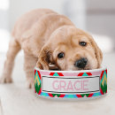 Search for boho pet bowls Abstract