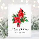 Search for cardinal bird Merry christmas