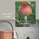 Search for agaric posters Amanita muscaria