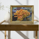 Search for fungi art Mycology