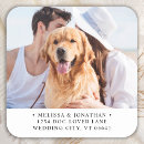 Search for return address square stickers Minimalist