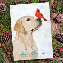 Search for cardinal christmas cards Unique