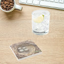 Search for nest coasters Birds