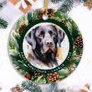 Search for labrador retriever christmas tree decorations Pet